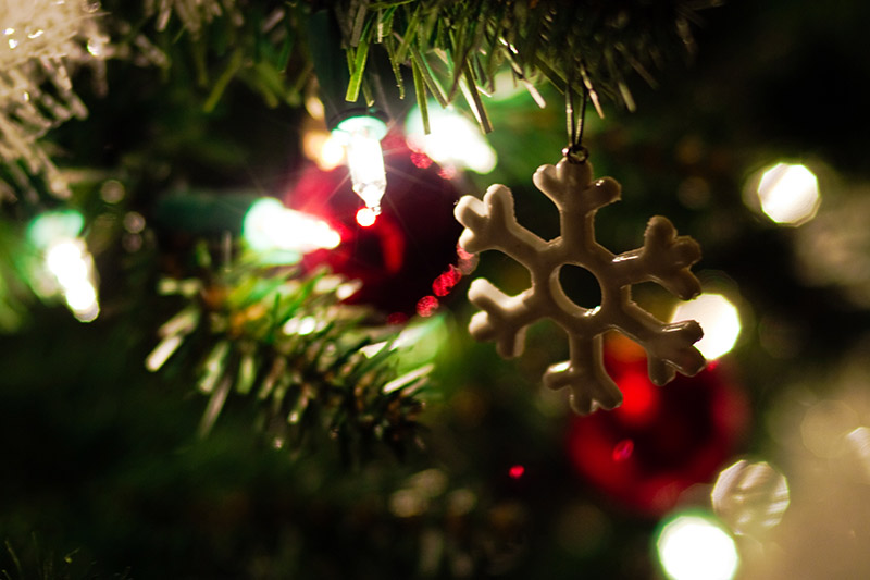 Illustration for article titled Photo Contest: Christmas Lights